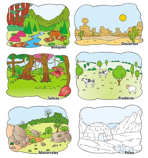 Espectaculares Dibujos De Los Ecosistemas E Dibujo De Un Ecosistema Tipos De Ecosistemas