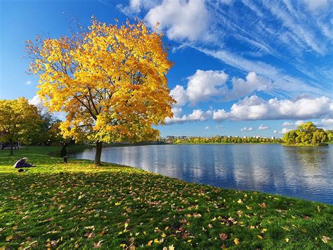 Musim Gugur Pohon Musim Gugur Tenang Air Alam Danau Hd Seni Alam