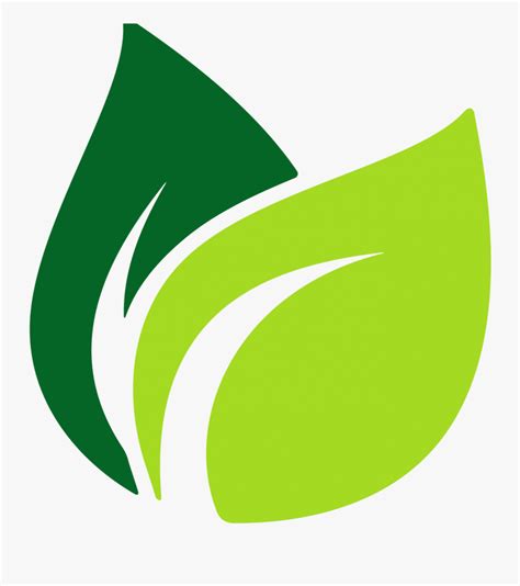 Image Result For Leaf Vector Vector Leaf Logo Png Free Transparent