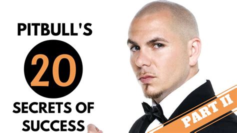 Pitbull 2016 Top 20 Secrets Of Success The Interview S Part 2