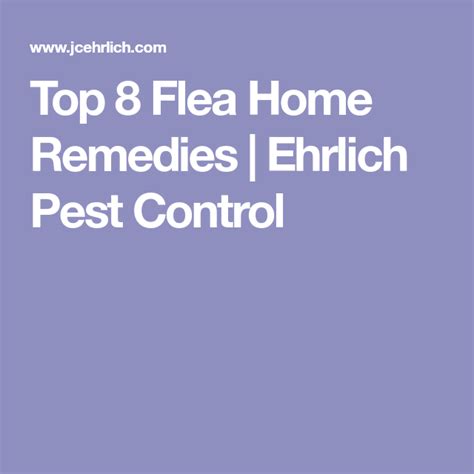 Maybe you would like to learn more about one of these? Top 8 Flea Home Remedies | Ehrlich Pest Control | Fleas home remedies, Pest control, Fleas