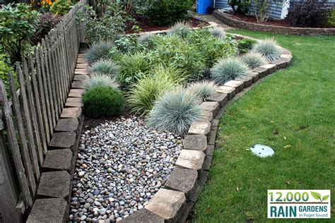 A rain garden slows the flow of rainwater runoff by using elements similar to those that occur in nature: Rain Gardens - Cedar Grove | Organic Compost
