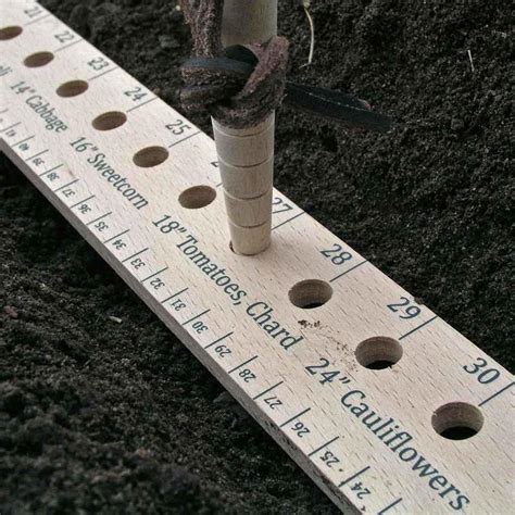Buy Seed And Plant Spacing Ruler — The Worm That Turned