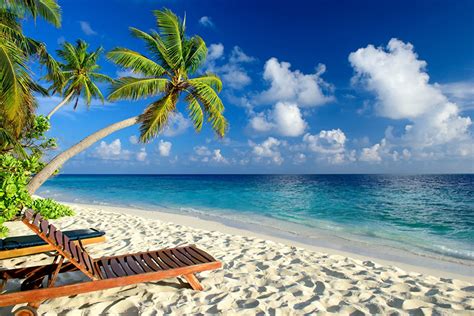 Desktop Wallpapers Beach Sea Nature Tropics Palm Trees Sunlounger