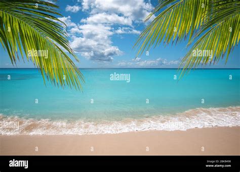 Beaches Palm Trees Hi Res Stock Photography And Images Alamy