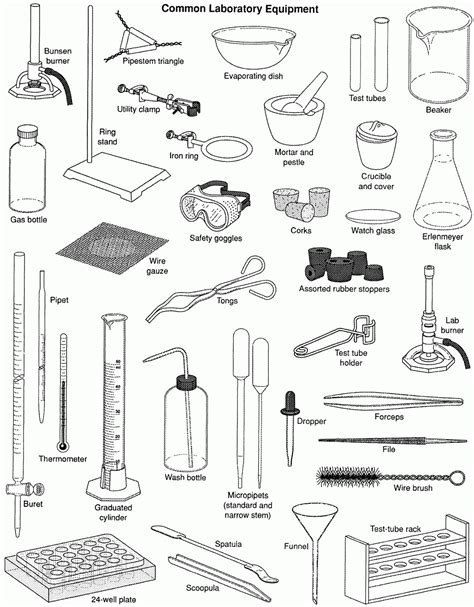 Mr. Forde - Life Science: Review common lab equipment