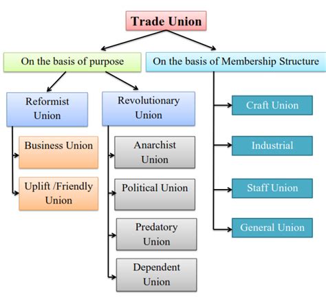 Trade Union Structure Classification Of Trade Union Structure Simplinotes