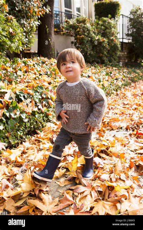 Mixed Race Boy Walking In Autumn Leaves Stock Photo Alamy