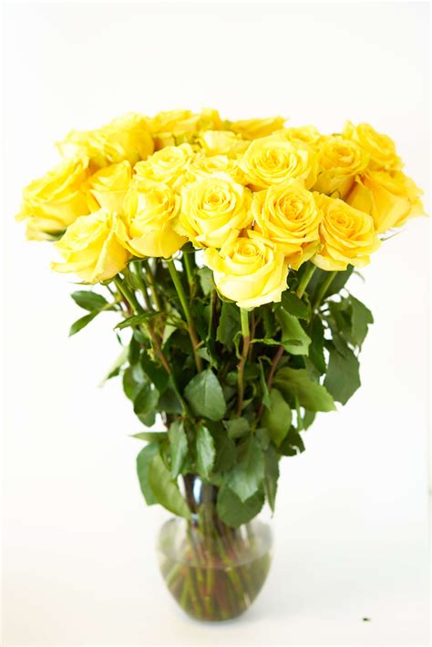 yellow-roses-flower-bouquet-12-yellow-roses-long-stem-1-dozen-roses-beautiful-yellow-roses