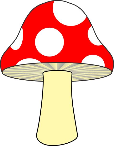 Mushroom Vector Png png image