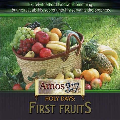 Holy Days First Fruits Amos37