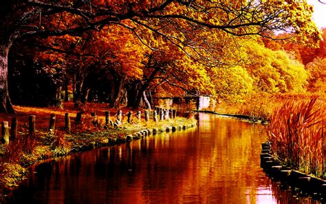 Autumn River Hd Wallpaper Pixelstalknet