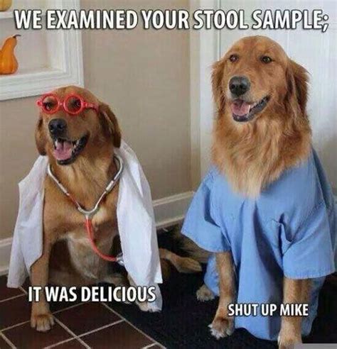 Funny Doctor Dog Nurse Costume Stool Sample Things That Make Me