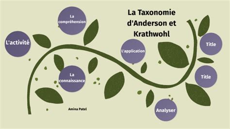 La Taxonomie Danderson Et Krathwohl By Amina Patel Khan On Prezi