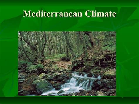 mediterranean climate