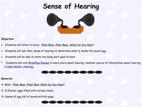 Sense Of Hearing Lesson Plan For Kindergarten 2nd Grade Lesson Planet