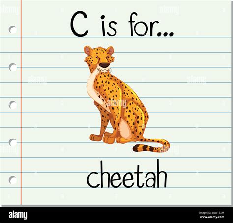 Flashcard Letter C Is For Cheetah Stock Vector Image And Art Alamy