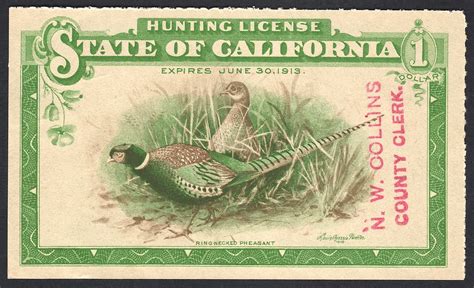 California Hunting & Fishing Licenses – Part Three - Waterfowl Stamps
