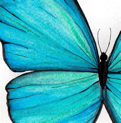 Impresión de arte mariposa pintura azul morpho arte de la Etsy