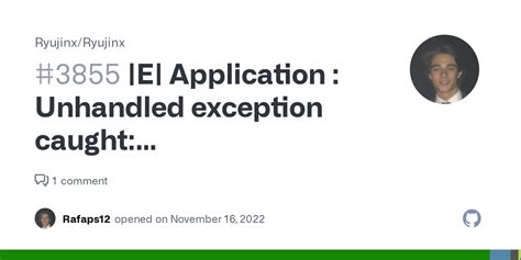 E Application Unhandled Exception Caught System Reflection