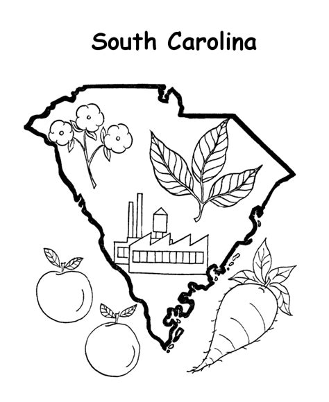 South Carolina State Outline Coloring Page Flag Coloring Pages Flower Coloring Pages Coloring