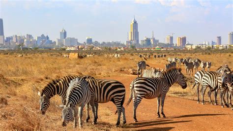 Les Incontournables De Nairobi Tourlane