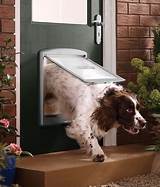 Images of Pvc Door With Dog Flap
