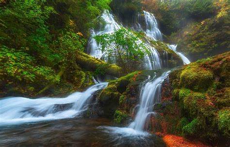 Usa Waterfalls Moss Panther Creek Falls Columbia