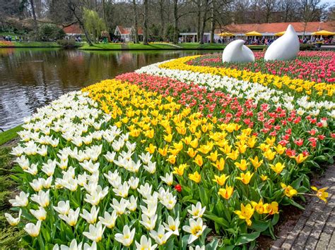 Day Trip From Amsterdam To Keukenhof Flower Gardens Your Full Guide