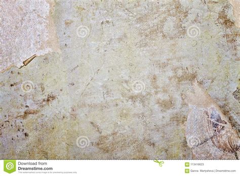 Old wall with peel swamp color stucco wallpaper plaster. Old Plaster, Gray Plaster, Gray Wall, Wall, Ragged ...