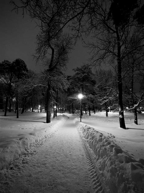 Winter Evening In The Park A Dark Winter Evening And The S Flickr
