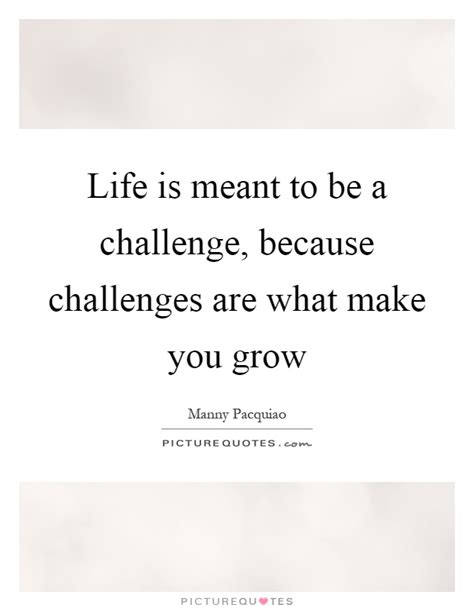 Life Is Meant To Be A Challenge Because Challenges Are What