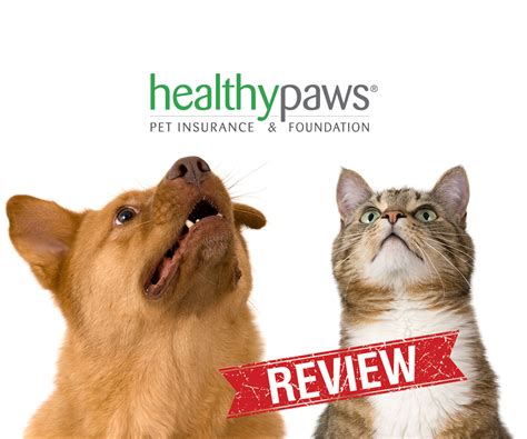 Pet Insurance Reviews | Pet insurance reviews, Pet care ...