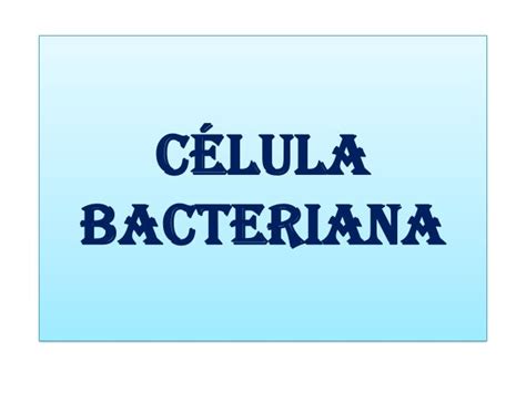 La C 233 Lula Bacteriana Y Sus Partes Y Sus Partes Gambaran