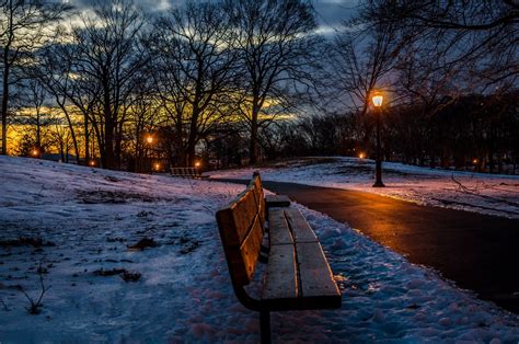 Evening in Winter Park