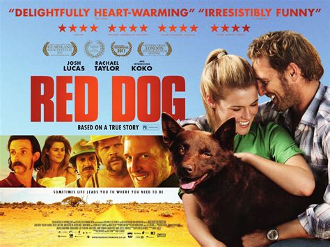 The film was released on august 4, 2011. Red Dog Movie Clip