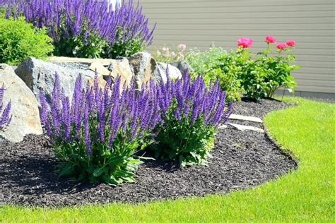 Landscaping with rocks front yard landscaping backyard landscaping florida landscaping river rock landscaping gravel front garden ideas decorative rock landscaping rock mulch. 97 Amazing Low Maintenance Landscaping for south Florida ...