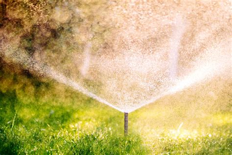 What Are The Advantages Of A Sprinkler Irrigation System Turf Rain
