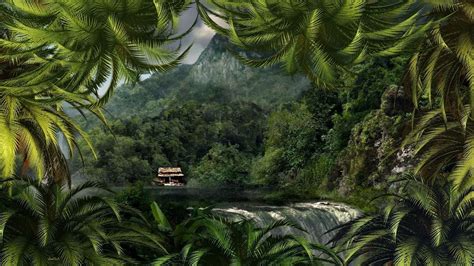 Jungle Paradise Wallpaper