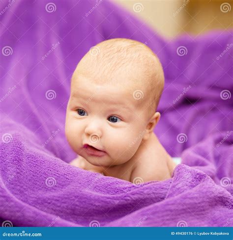 Adorable Baby Stock Photo Image Of Person Posing Caucasian 49430176