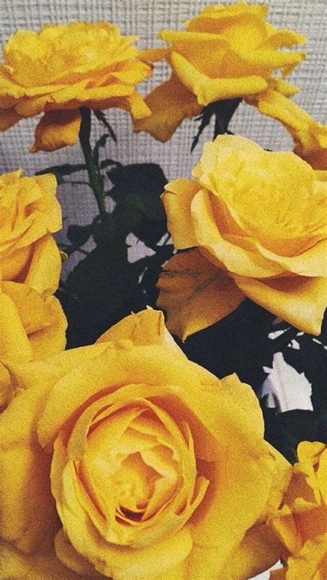 Aesthetic Wallpaper Yellow Flowers