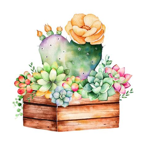 Watercolor Handpainted Succulent Plant In Wooden Pot And Cactus