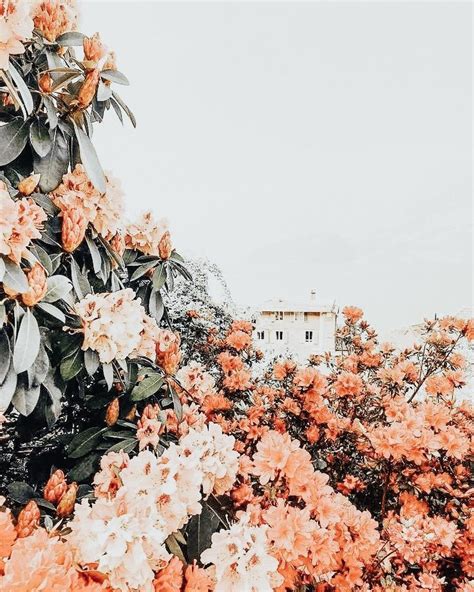 Pinterest M A R Y Nature Aesthetic Aesthetic Backgrounds