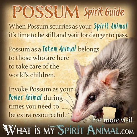 Mammal Symbolism And Meaning Spirit Totem And Power Animal