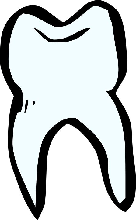 Tooth Dentist White · Free Vector Graphic On Pixabay