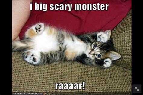 Im A Big Scary Monster Raar Kittens Funny Adorable Kittens Funny