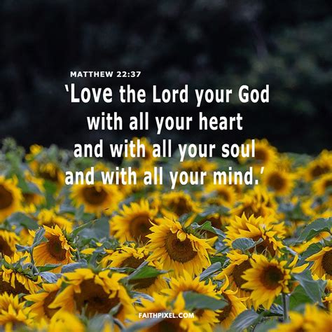 Love The Lord Your God With All Your Heart And With All Your Soul And