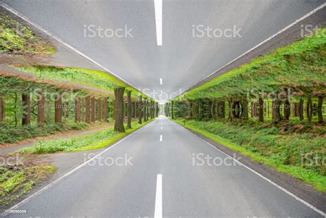 Abstract Road In Woods Road Marking Sunset Stock Photo Download Image