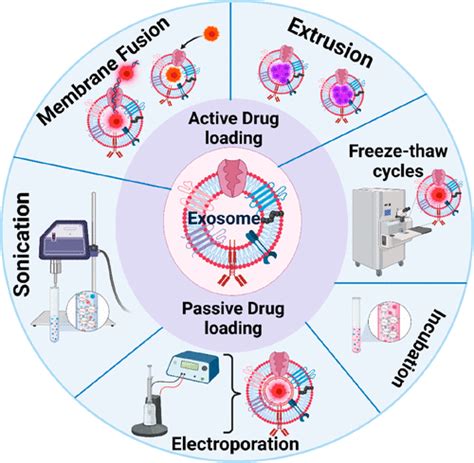 Exosome Based Smart Drug Delivery Tool For Cancer Theranostics ACS