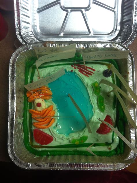 Edible Plant Cell Kodees Plant Cell Project For School Cells